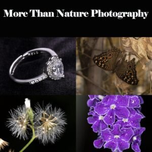 Godox ML-150II ML150II Macro LED Ring Flash Speedlite GN12 0.1-2s Tiempo de reciclaje 5800K ± 200K